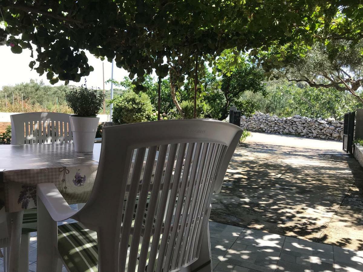 Apartman Mirjana With Terrace And Free Parking Donji Okrug  외부 사진